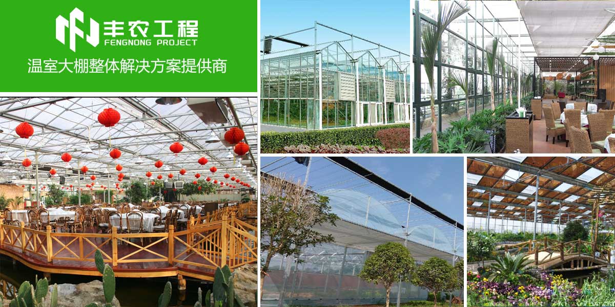 專業(yè)創(chuàng)造價值,服務贏得未來